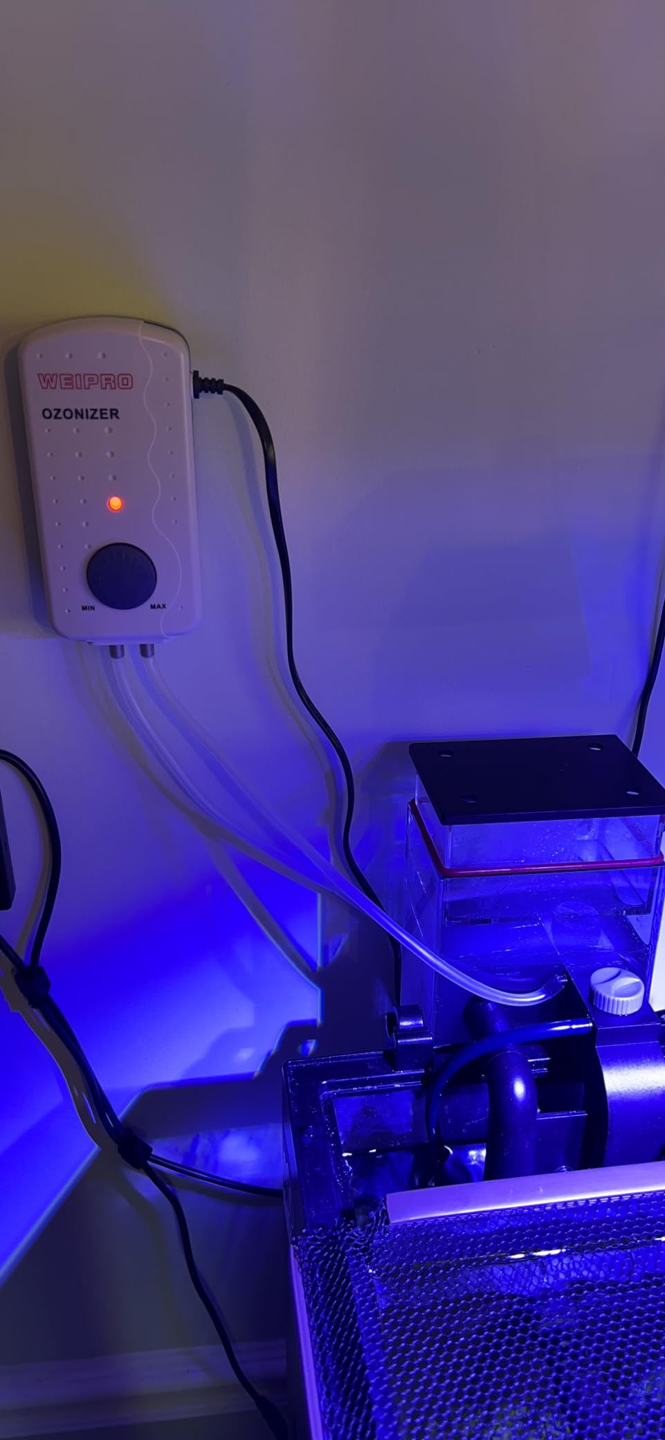 Ozonizer ET100 100 mg Suitable for Fresh Water and sea Water,can Work with ORP Controller customer photo 2