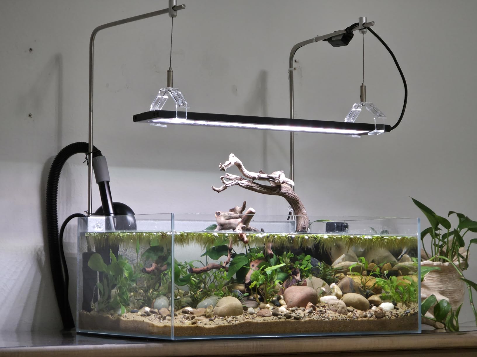 Fzone 10 Gal Rimless Low Iron Fish Tank Nova Clear Ultra-White 45° Mitered Edges Translucent Glass Anata Series Aquarium w/Black Foam Leveling Mat(S45-W30) customer photo 1