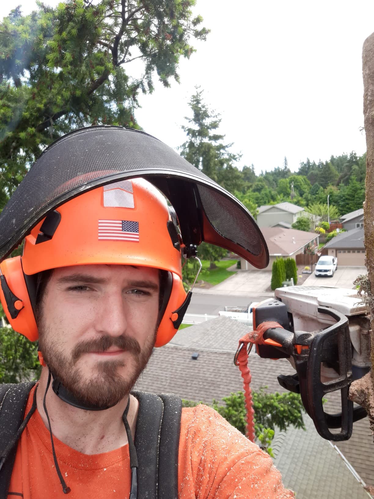 Forestry Safety Helmet Chainsaw Helmet with Mesh Face Shield and Ear Muffs 3 in 1 Forestry Hard Hat customer photo 1