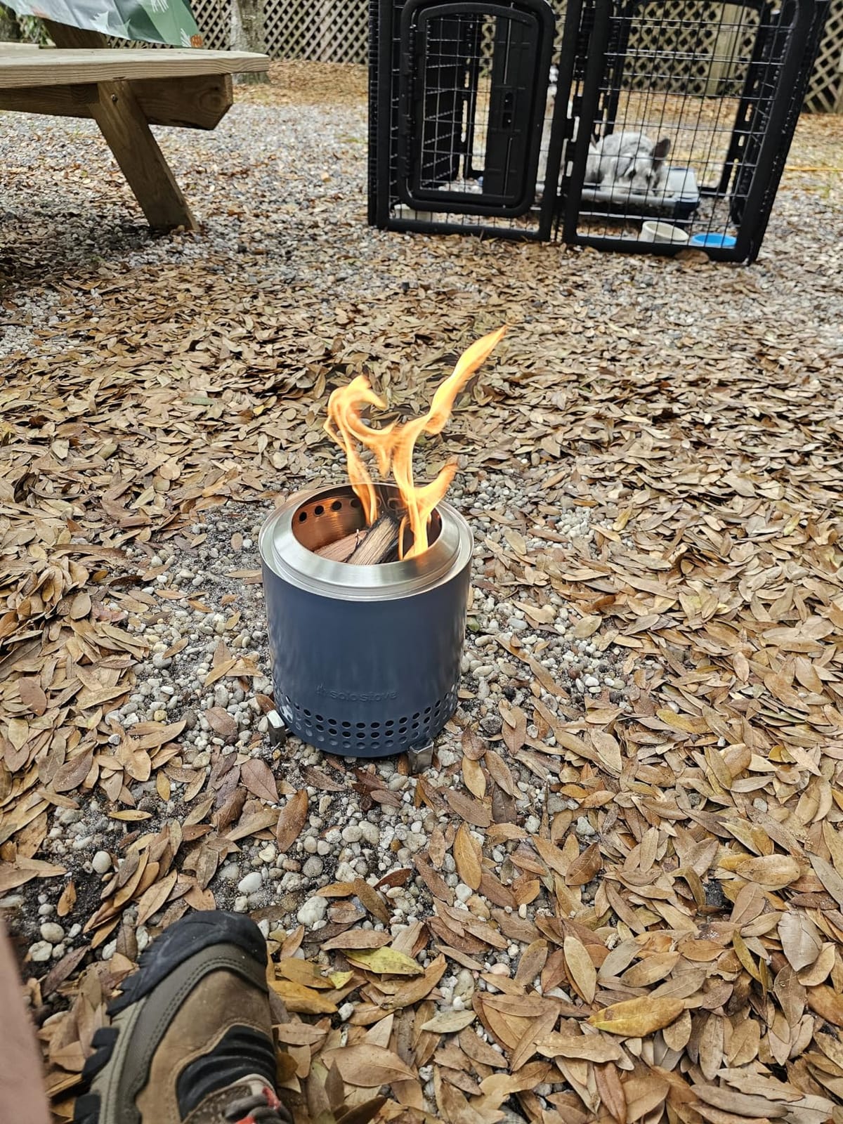 Old Potters Kiln Dried Pizza Oven Cooking Logs, Approx 12 lbs, Wood Logs for Pizza Ovens, Grills and Smokers, Solo Stove Mesa XL, Oak~ 6 Inch Mini Log, Product of USA (790 Cubic Inches) customer photo 1