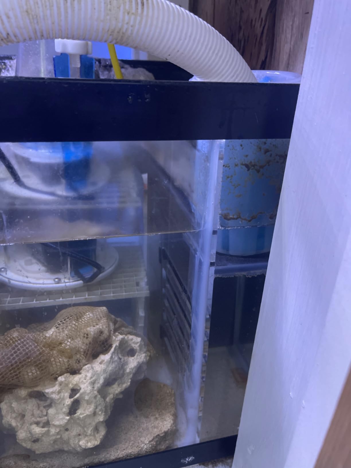 LYL LEYOULAND Adjustable Sump Baffle Kit - Refugium Kit for 20 Gallon Long Tank - Reef Aquarium - Saltwater Aquarium Filter System- Protein Skimmer Sump customer photo 1