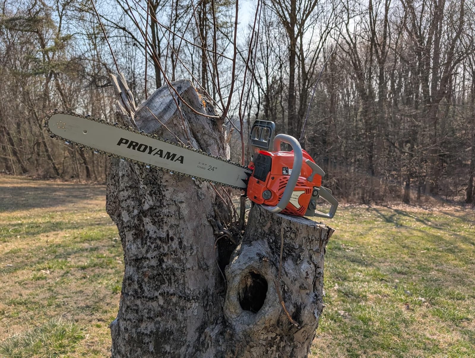 PROYAMA 68CC Gas Powered Chainsaw, 24 Inch 20 Inch Top Handle Chain Saw customer photo 2
