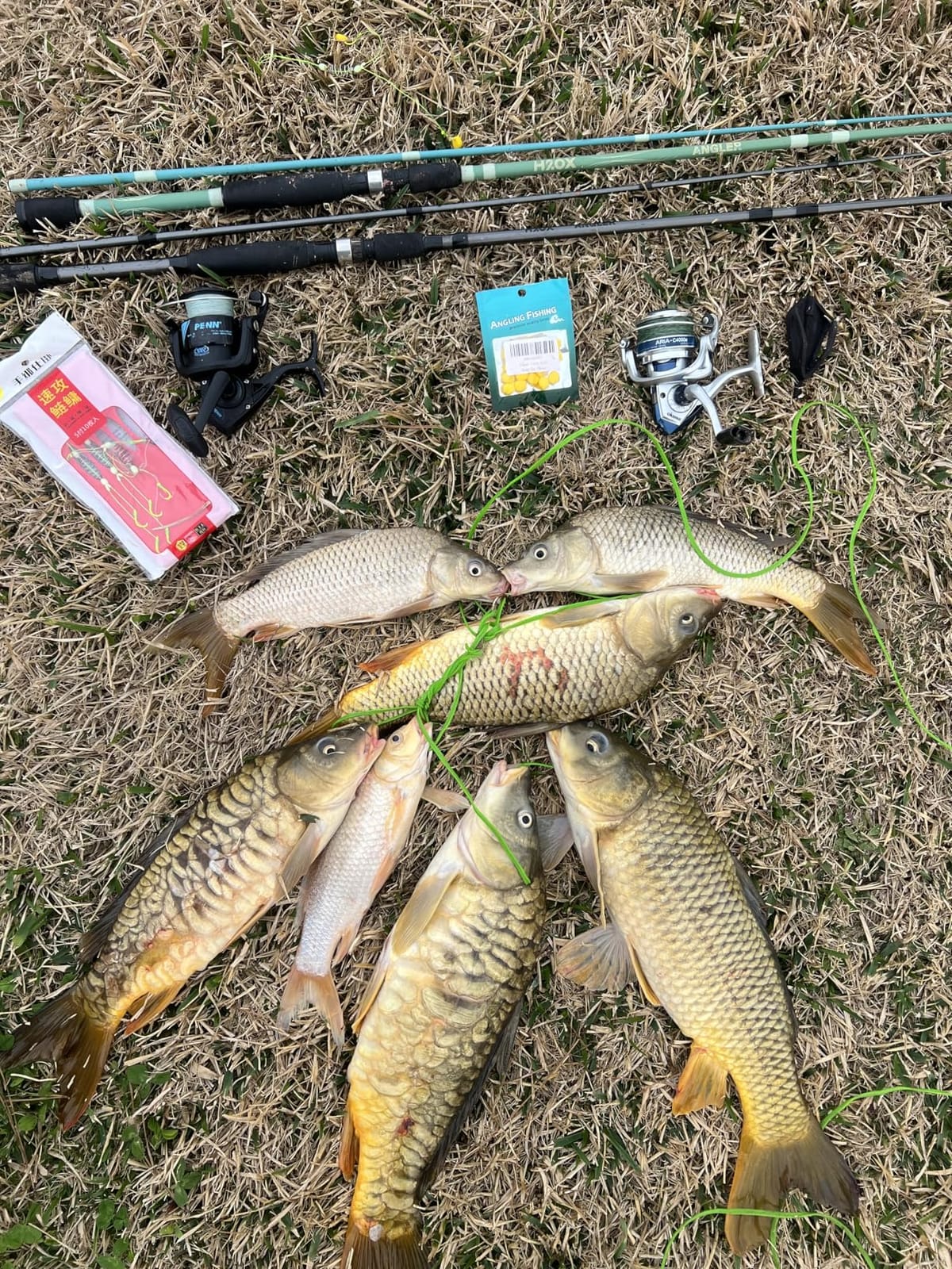 TPR Simulation Fake Corn Soft Baits Corn Carp Fishing Lures Floating Baits with Nice Scent for Carp,Trout Fishing,Cat Fish customer photo 2