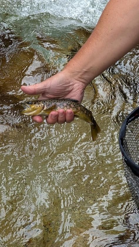 Aventik IM12 Nano 6:4 Action Tenkara Rod Kit for Anglers Backpackers customer photo 2