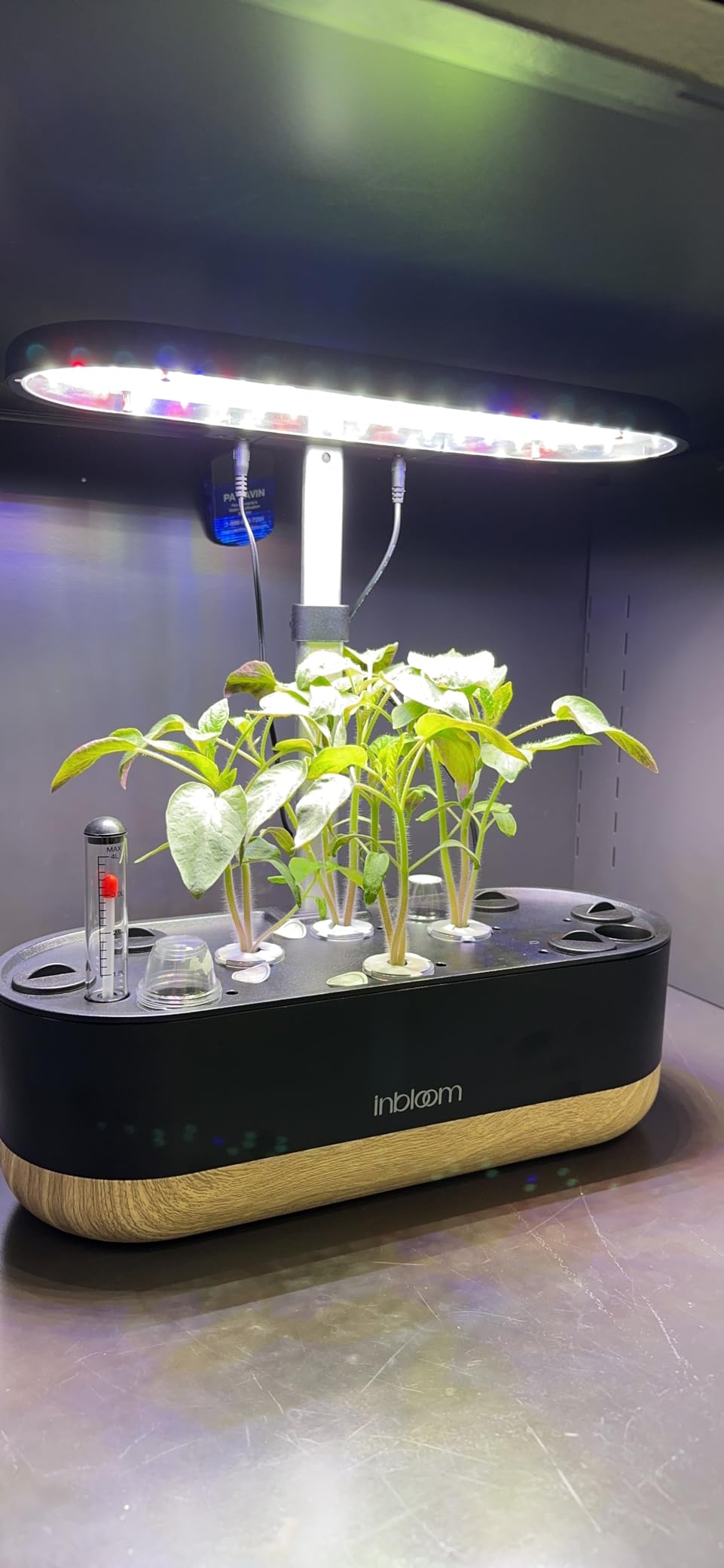 inbloom Hydroponics Growing System 12 Pods, Indoor Herb Garden with LEDs Full-Spectrum Plant Grow Light, Water Shortage Alarm, Automatic Timer, Height Adjustable, Ideal Gardening Gifts for Women customer photo 1