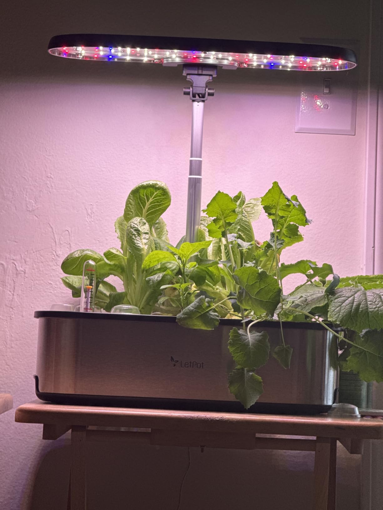 LETPOT LPH-SE Hydroponics Growing System, 12 Pods Smart Herb Garden Kit Indoor, Indoor Garden, APP & WiFi Controlled, with 24W Growing LED, 5.5L Water Tank, Pump System, Automatic Timer customer photo 1