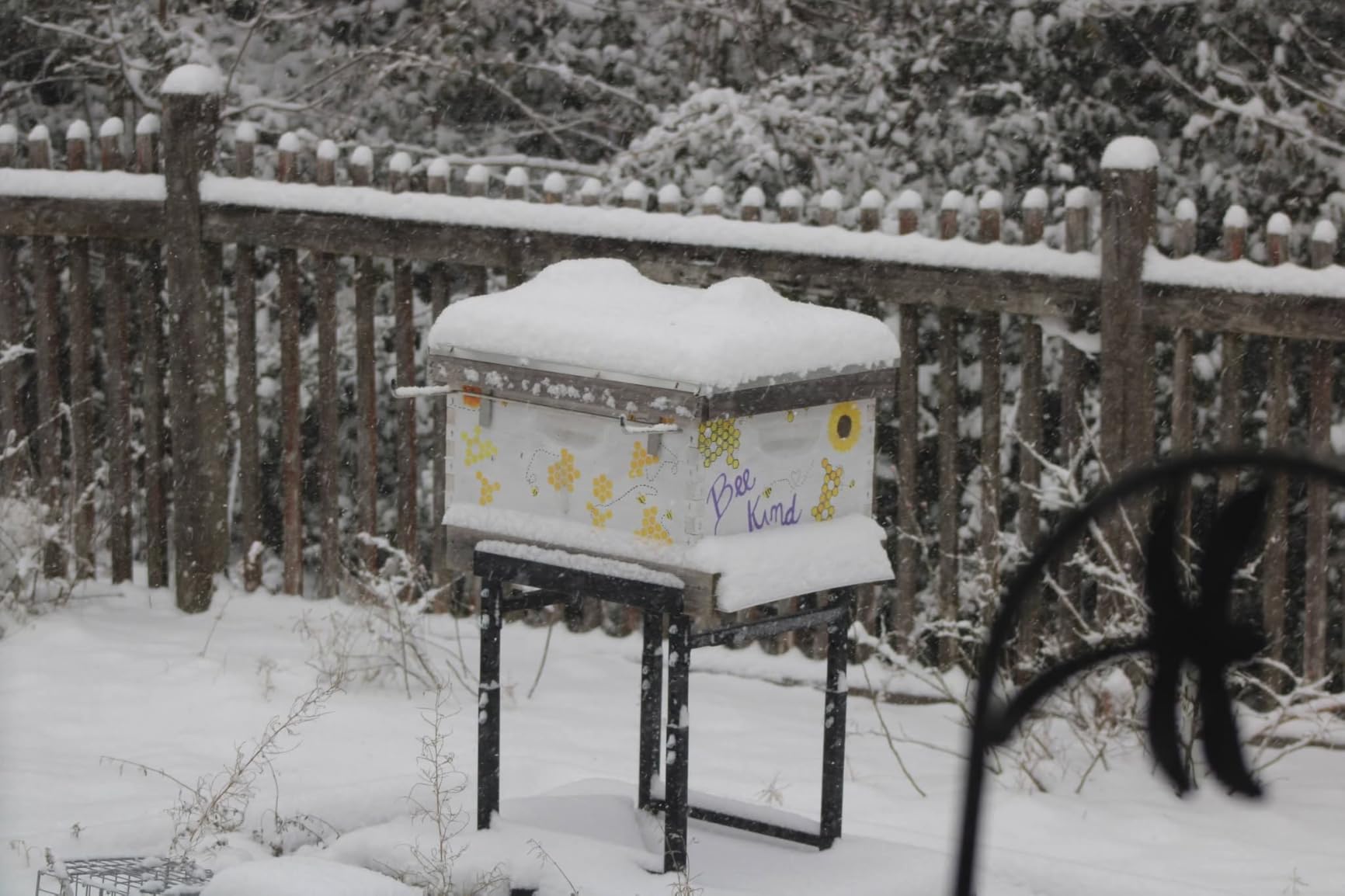 Adjustable Metal Hive Stand, Sturdy Beehive Stand customer photo 1