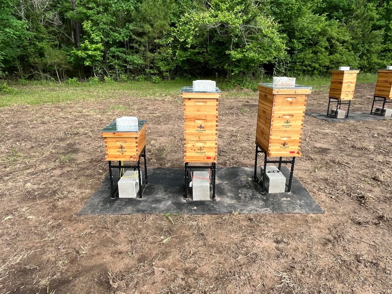 Adjustable Metal Hive Stand, Sturdy Beehive Stand customer photo 2