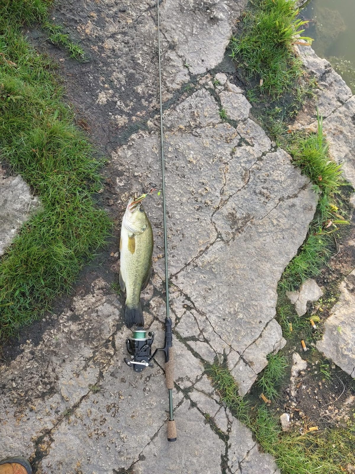 KastKing Spartacus II Twin-Tip Spinning & Casting Fishing Rods customer photo 1