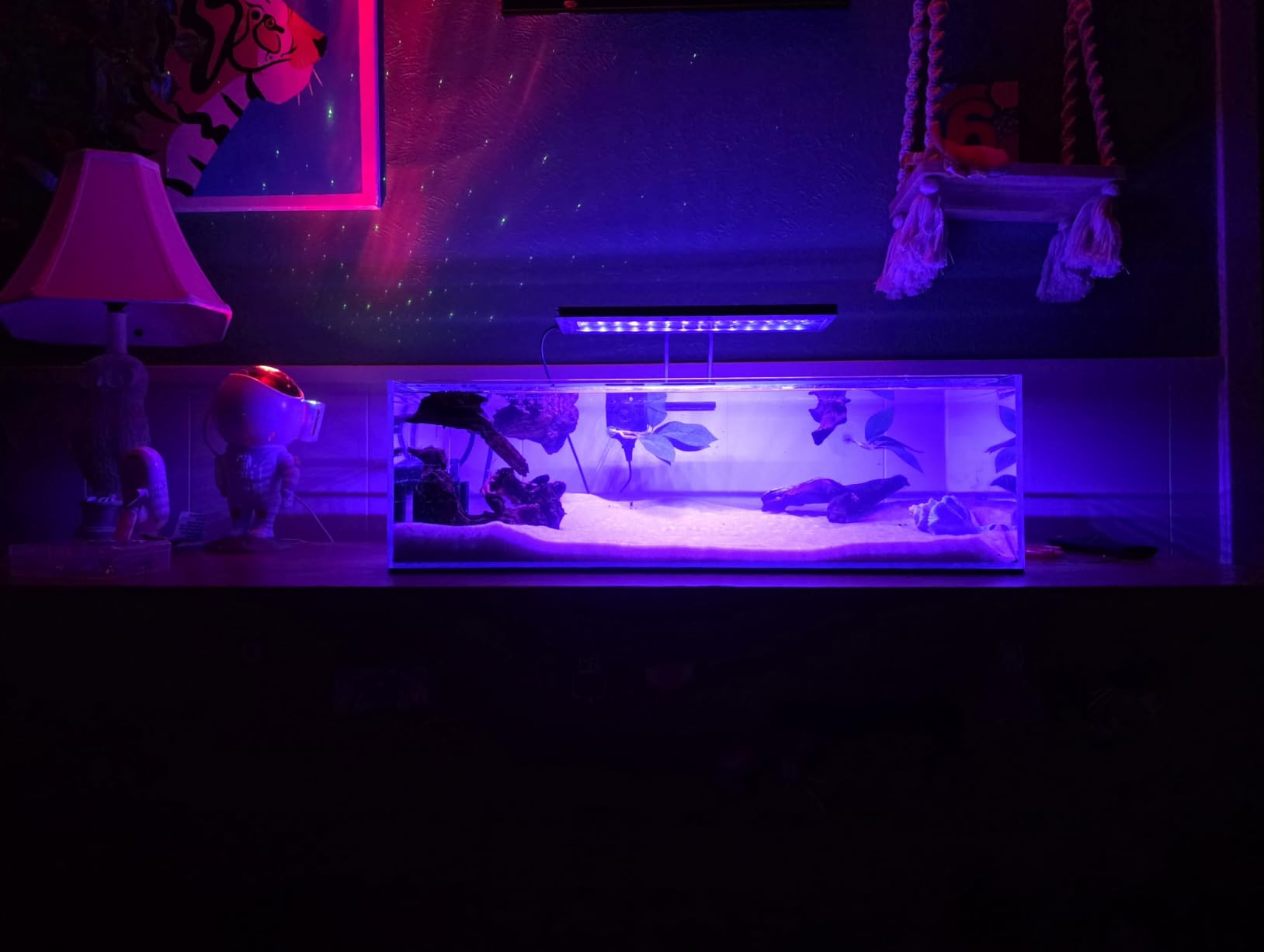 LANDEN Aquarium 150P 118 Gallon Ultra Clear Glass Rimless Fish Tank customer photo 2
