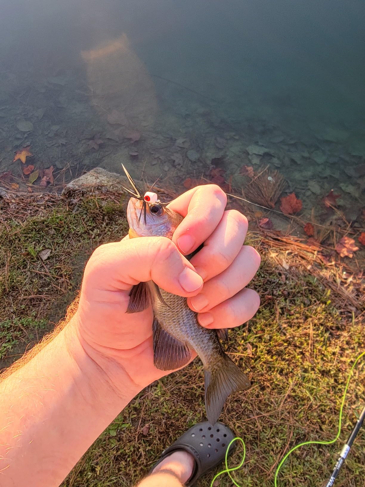Fly Fishing Poppers Dry Flies Topwater Lures Bass Trout Kit Pro XL customer photo 2