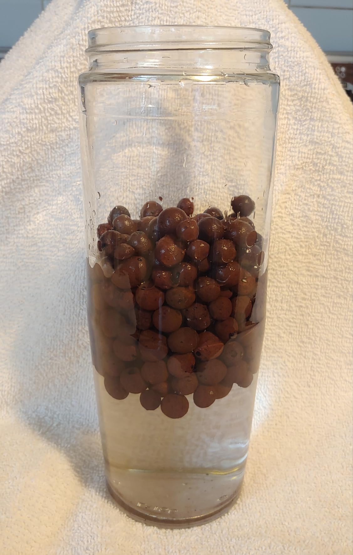 GASPRO 10lb LECA Expanded Clay Pebbles for Plants, Hydroponics, Aquaponics, 100% Natural Leca Balls for Soil Root Development, Orchid Potting Mix, Drainage and Reusable, 4-16mm customer photo 1