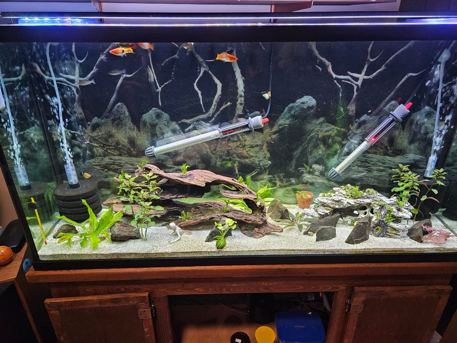 NICREW C10 Plant Aquarium Light, 18-24 in, 13W, Full Spectrum with Timer customer photo 1