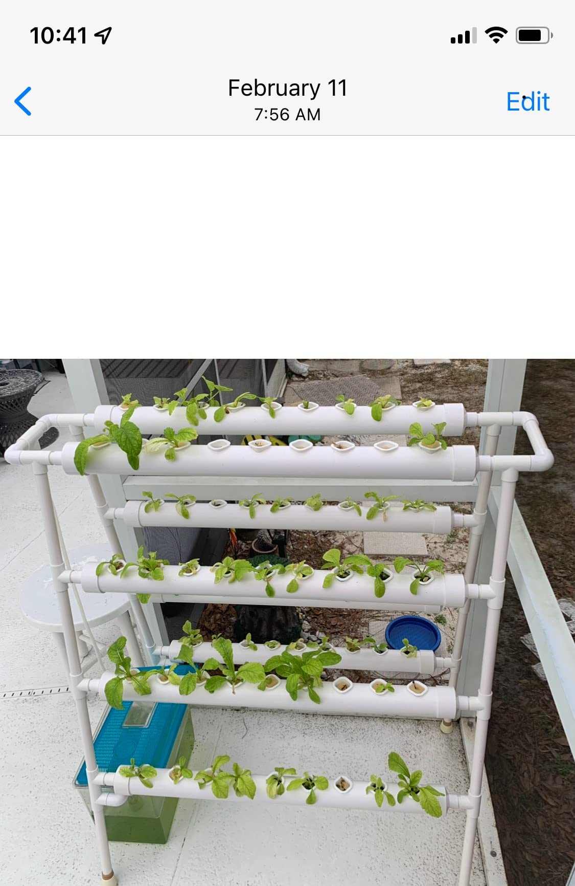 3-Tier 108 Plant Sites Hydroponics Growing System Kit customer photo 1