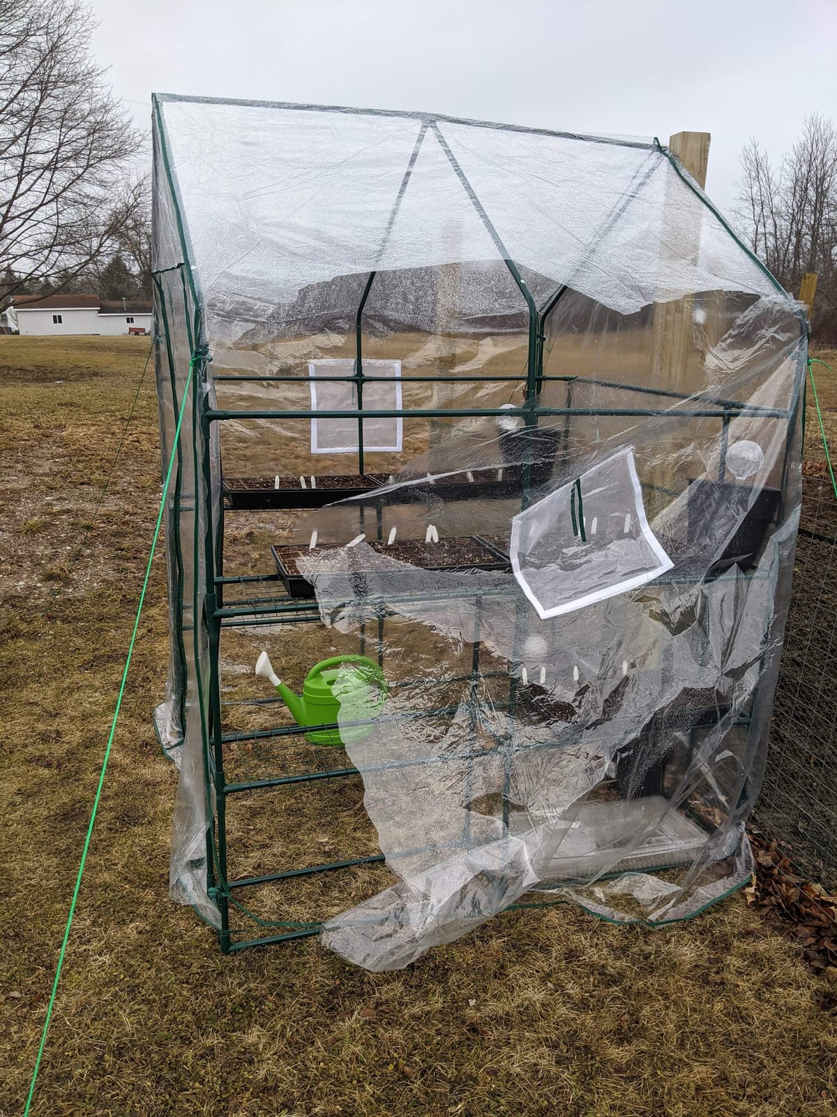 VIVOSUN Mini 4-Tier Greenhouse with Wheels, 27 x 19 x 63-Inch Reusable Portable Warm House with Clear PVC Cover and Shelf for Compact Garden and Small Backyards, with Wheels customer photo 1