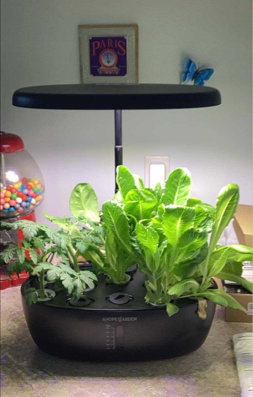 Ahopegarden Hydroponics Growing System: 12 Pods Indoor Herb Garden with LED | Plant Germination Kit with LED Grow Light,Countertop Herb Garden, Hydrophonic Planter Grower Harvest Vegetables Lettuce customer photo 1