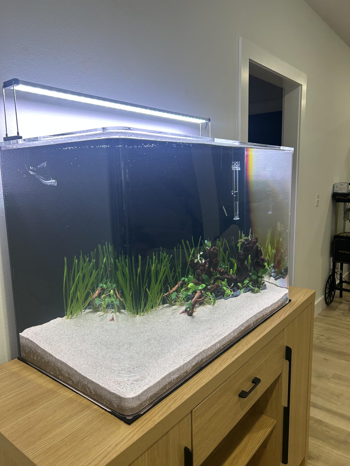Chihiros B Series - Full Spectrum Dimmable Freshwater Aquarium LED Light, App Controlled for Planted Tank Aquascaping - Fits 30-50CM - B30 customer photo 1