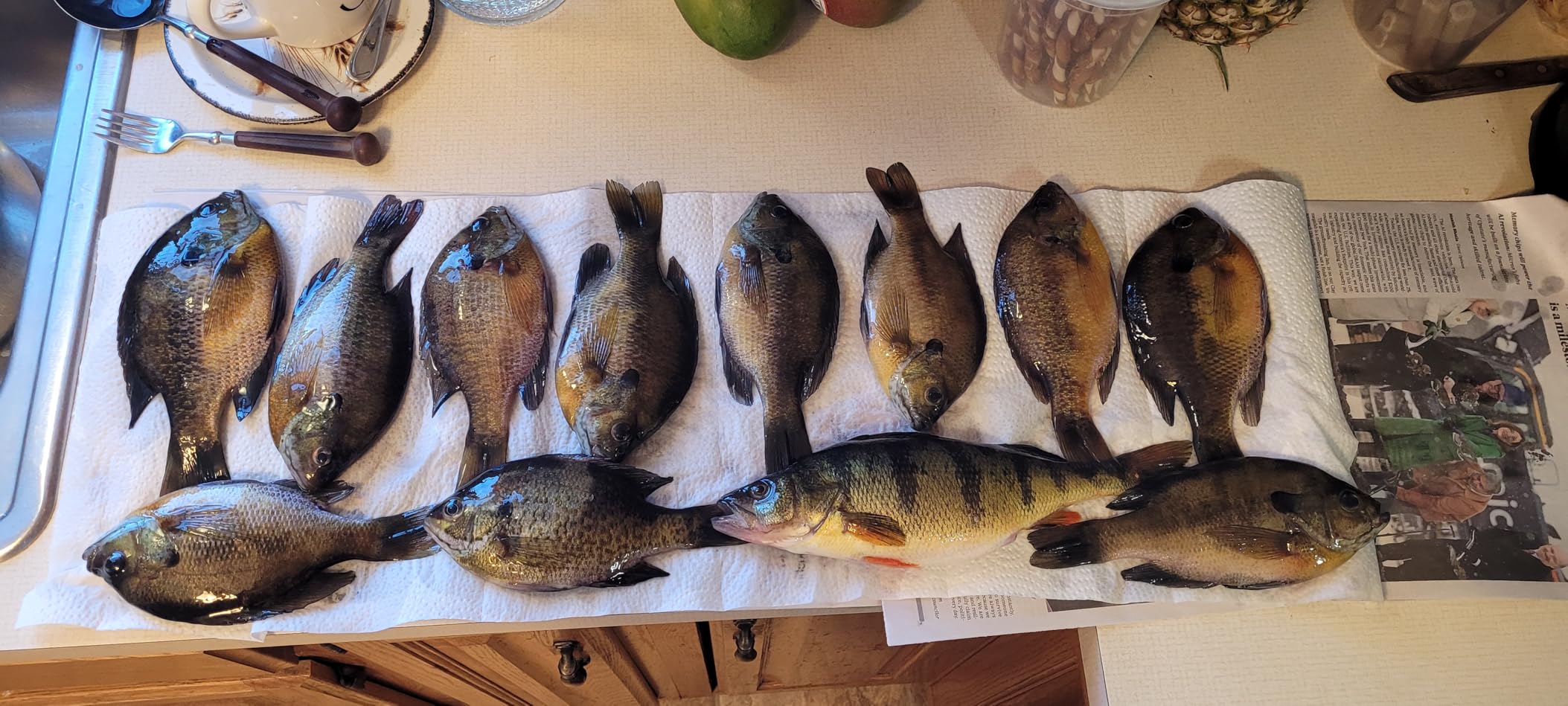 Berkley Gulp! Maggot Fishing Soft Bait customer photo 2