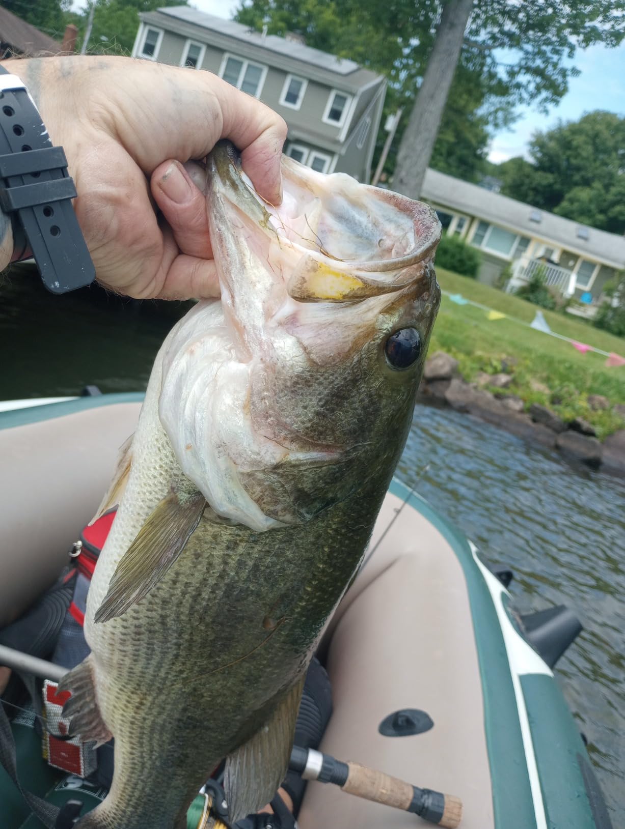 Berkley Gulp! Alive! Minnow Fishing Soft Bait customer photo 1