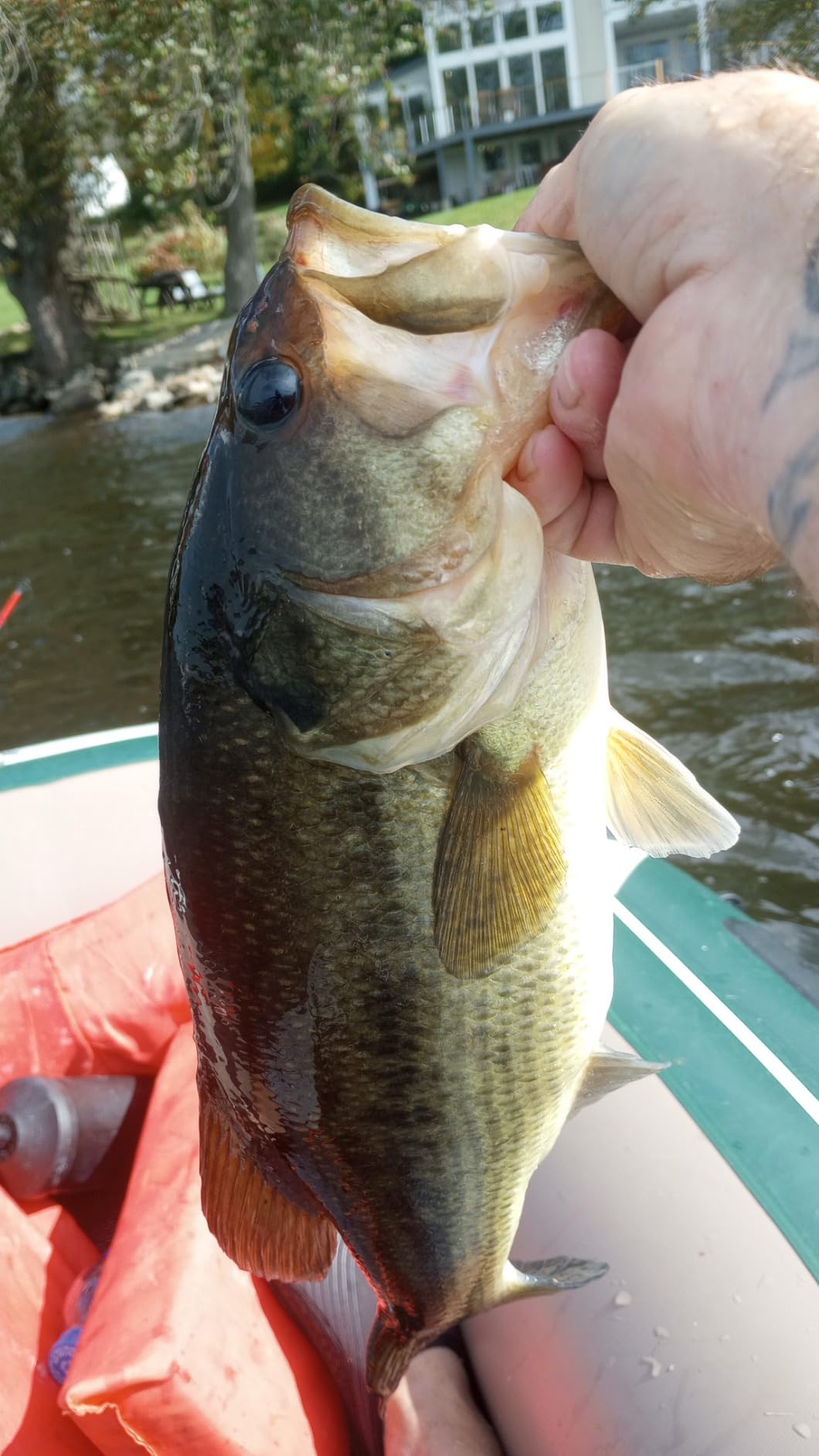 Berkley Gulp! Alive! Minnow Fishing Soft Bait customer photo 2