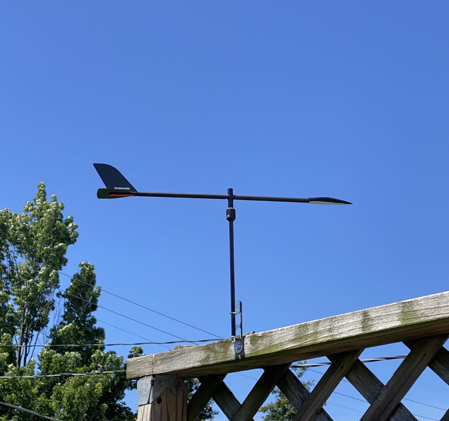 Blue Shark 18