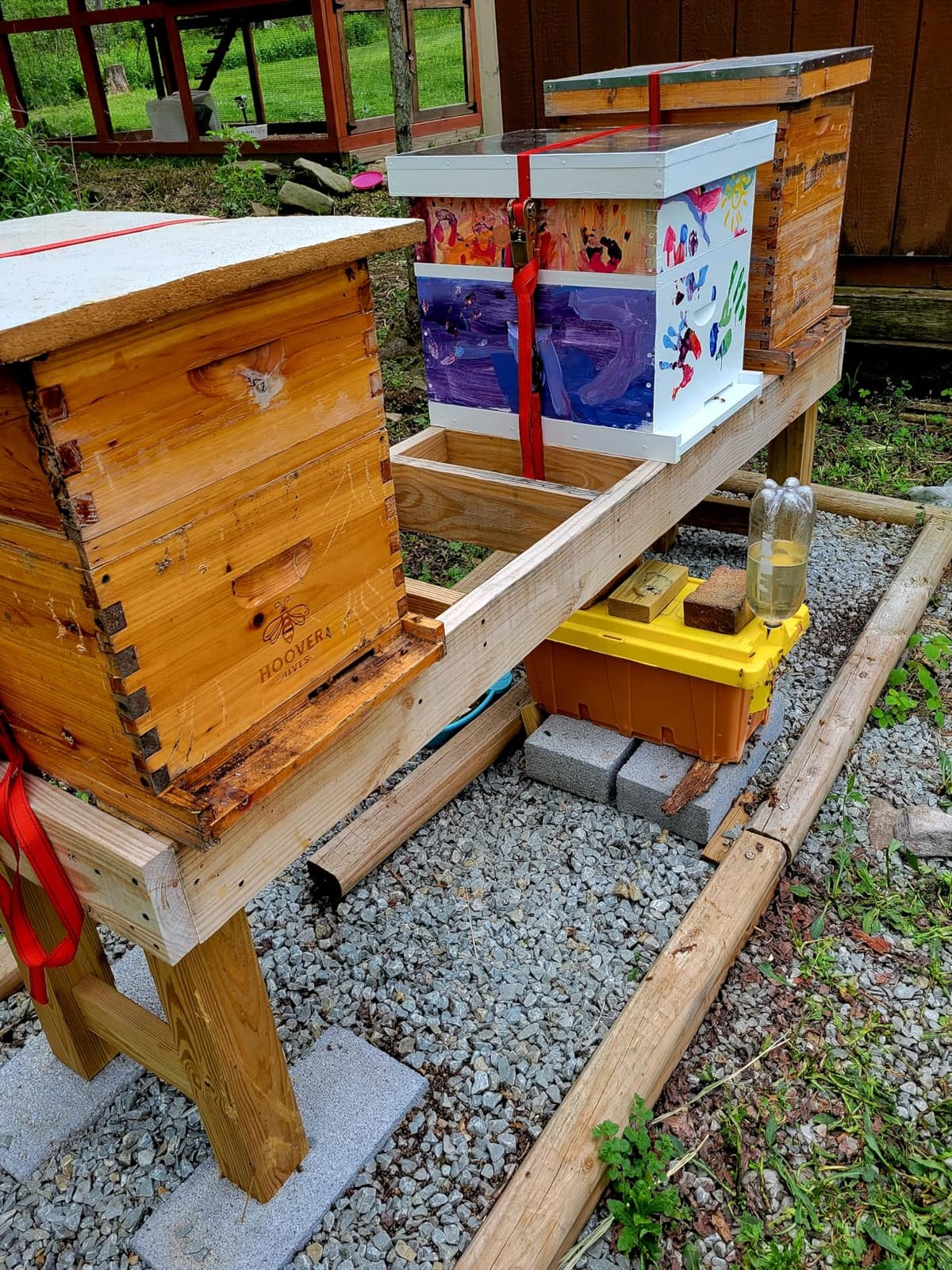 POLLIBEE Bee Hive,10 Frame Beehive Boxes Starter Kit, Langstroth Beehives Include 2 Deep Hive Boxes and 1 Medium Super Bee Box, Include Bee Hive Frames and Wax Foundation Sheets customer photo 1