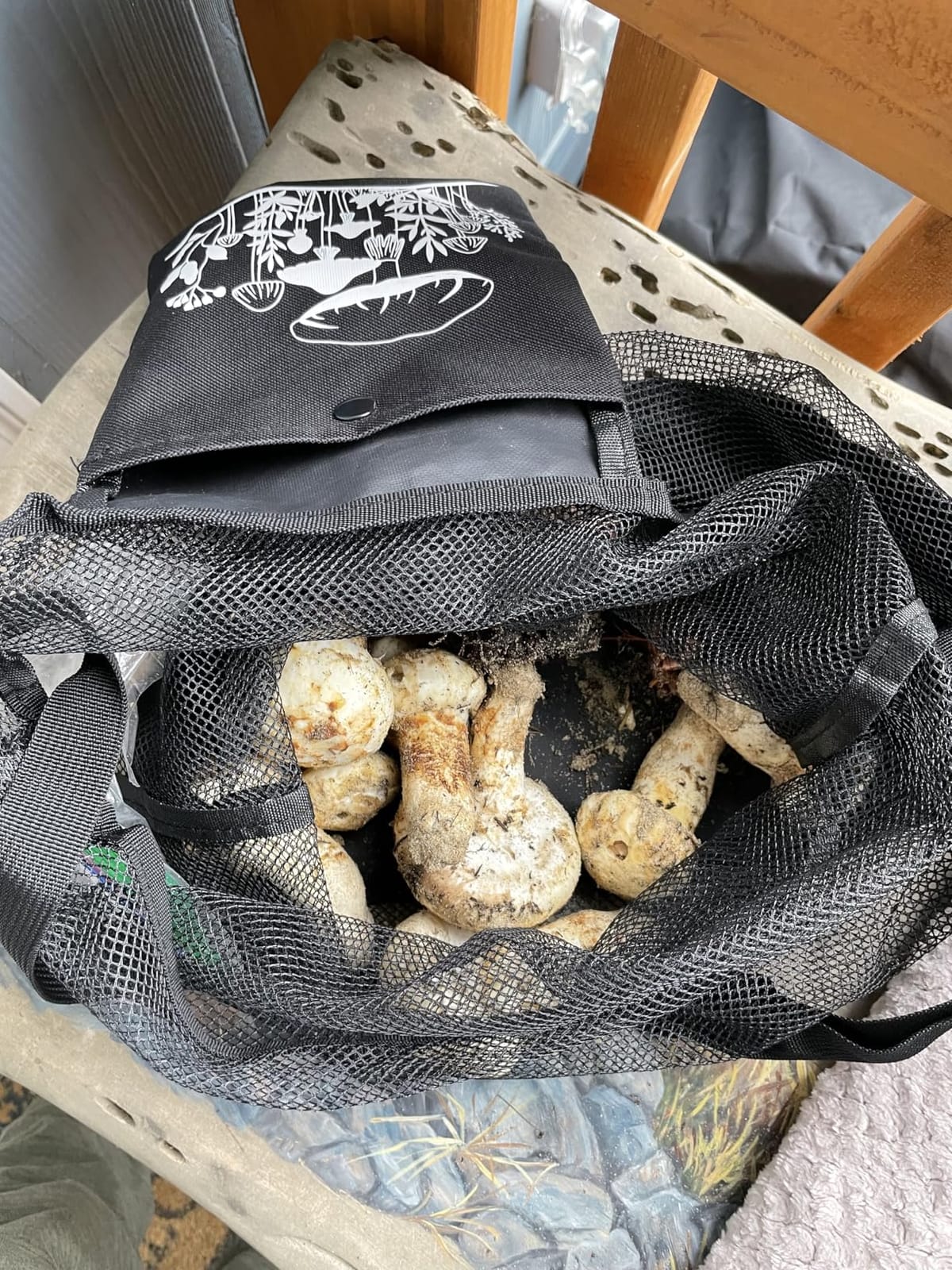 Seajan 18 Pcs Mushroom Foraging Kit Knife Brush Bag Notebook,Brown customer photo 1