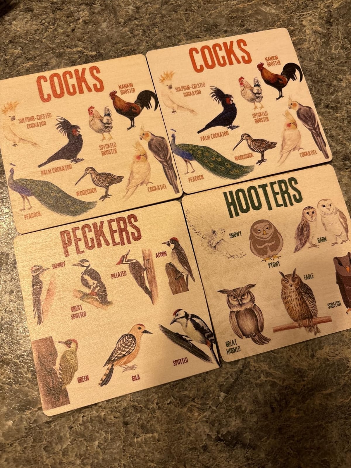 Bird Pun Coasters, Square Funny Coaster Set Coffee Coasters for Bird Lovers Kitchen Decor Housewarming Gifts (4 Pcs) customer photo 1