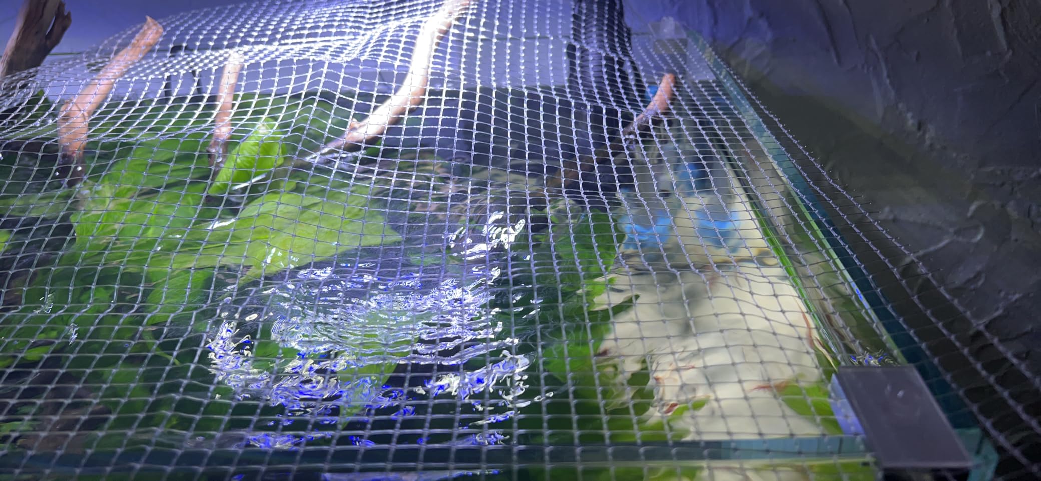 Aquarium Mesh Lid Clear Netting for Top Cover 4x5 ft customer photo 2