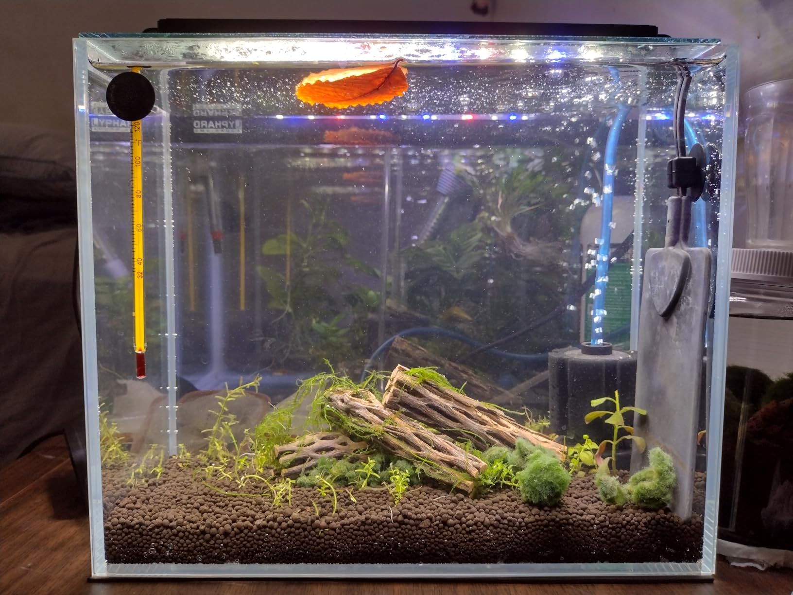 LYPHARD AQUARIUMS 15 Gallon Rimless Aquarium, Ultra Clear Glass Low Iron Rectangular Fish Tank L19.6×W13×H13.8 Inches Thickness 6mm with EVA Foam Mat Included customer photo 2