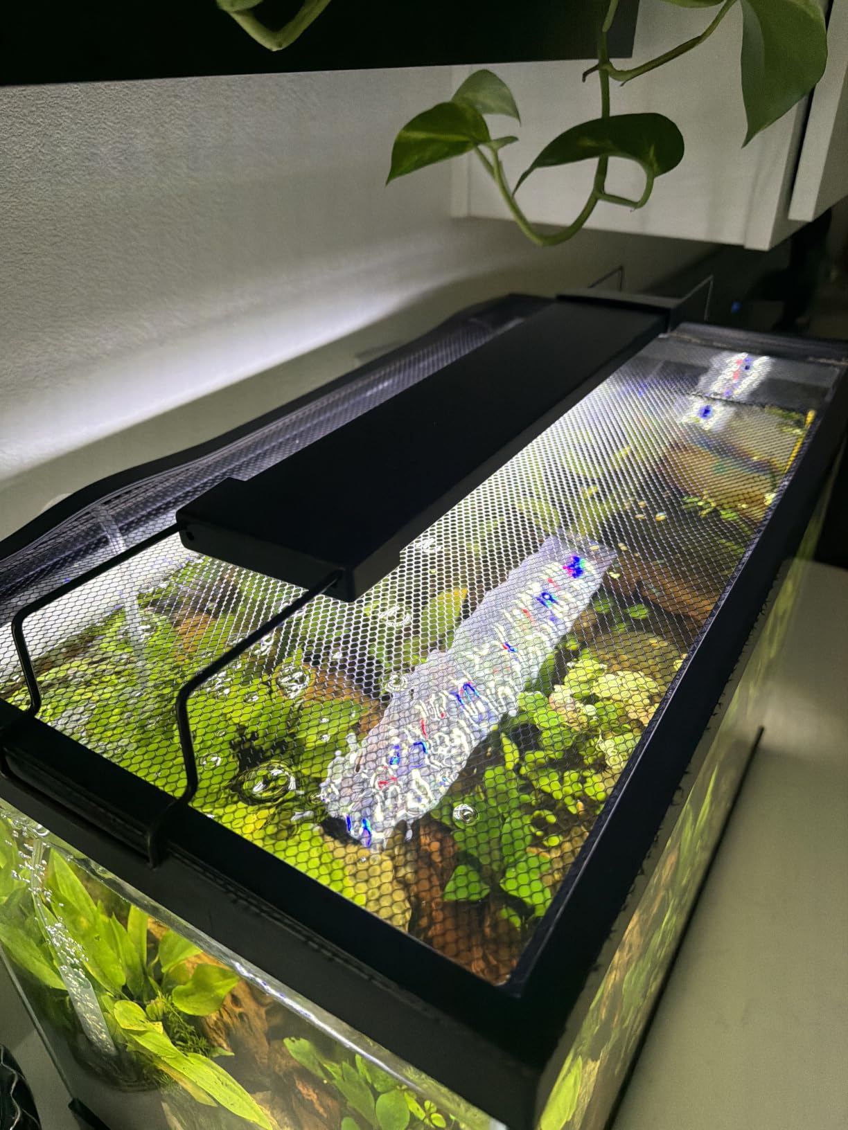 Magnetic Aquarium Anti-Jumping net Cover mesh to Protect Fish Jumping Out of Fish Tank customer photo 1