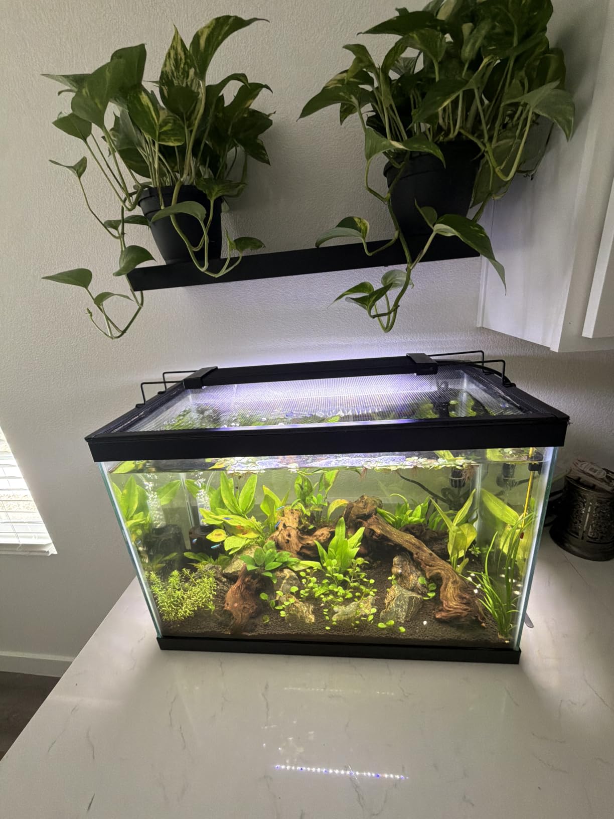 Magnetic Aquarium Anti-Jumping net Cover mesh to Protect Fish Jumping Out of Fish Tank customer photo 2