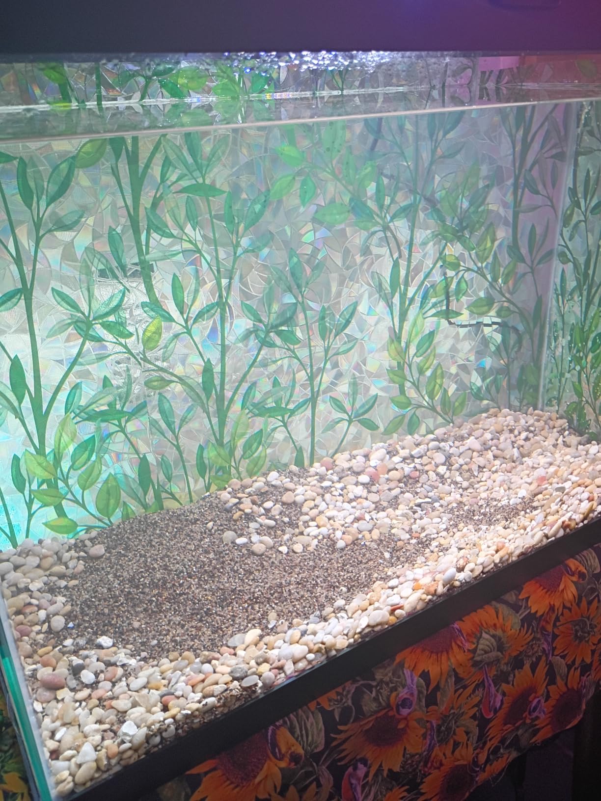 Aqua Natural Aquarium Substrate, Delta Sand, 10lb customer photo 1