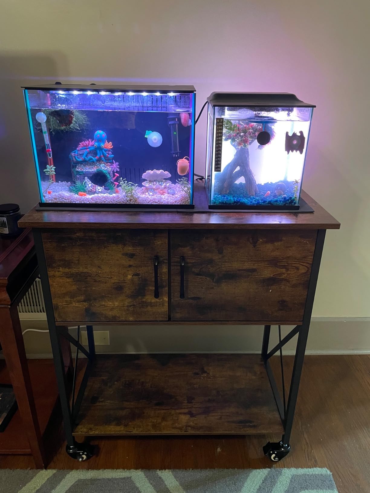 Herture 5-10 Gallon Fish Tank Stand, Metal Double Aquarium Stand with Cabinet for Fish Tank Accessories Storage, Heavy Duty 20.5