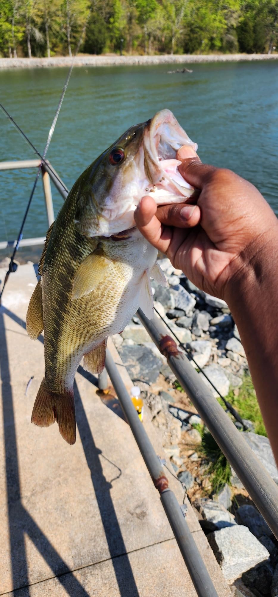 Reaction Tackle Stand-Up Shaky Head Jigs for Bass Fishing, Finesse Worm Jig Heads for Spinning Rod Setups, Largemouth and Smallmouth (5-Pack) customer photo 1
