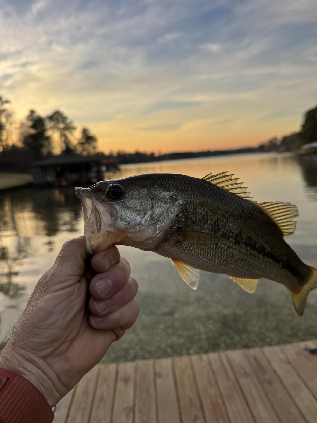 Reaction Tackle Stand-Up Shaky Head Jigs for Bass Fishing, Finesse Worm Jig Heads for Spinning Rod Setups, Largemouth and Smallmouth (5-Pack) customer photo 2