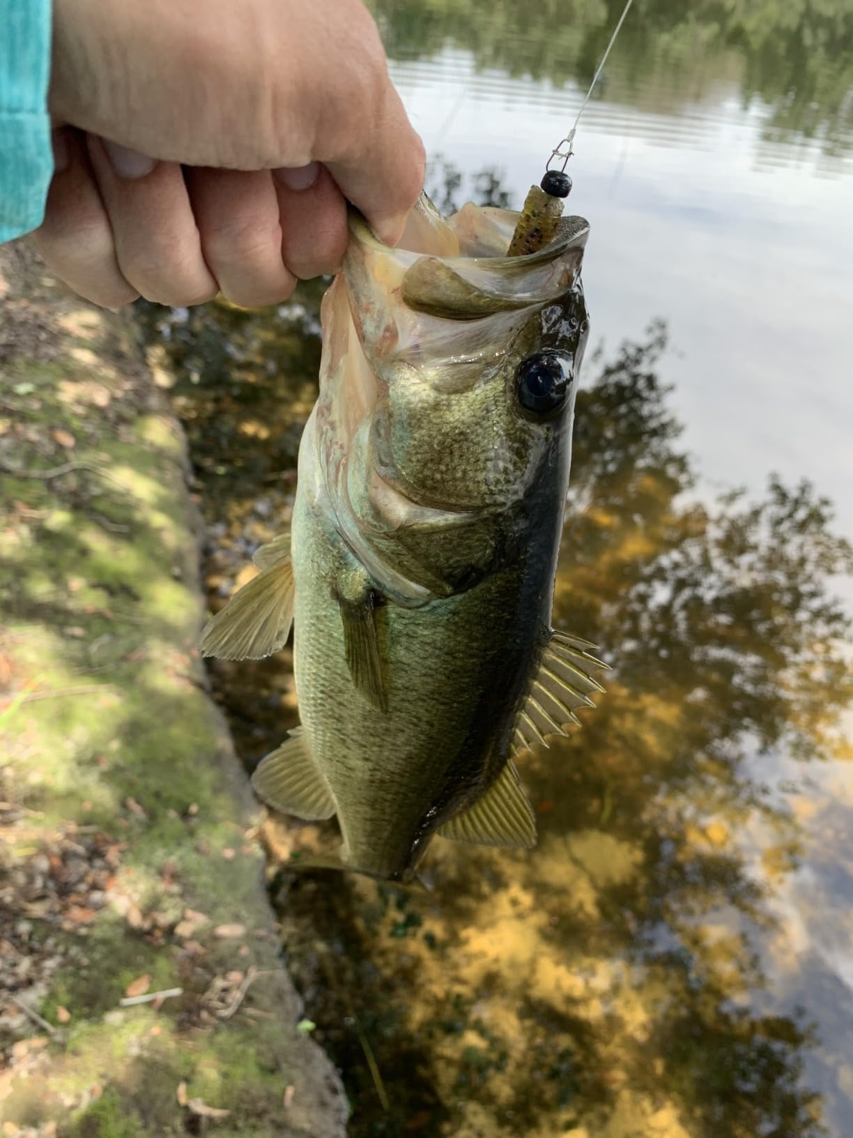 Daiwa Bait Reel 24TATULA TW Various (2024 Model) customer photo 2