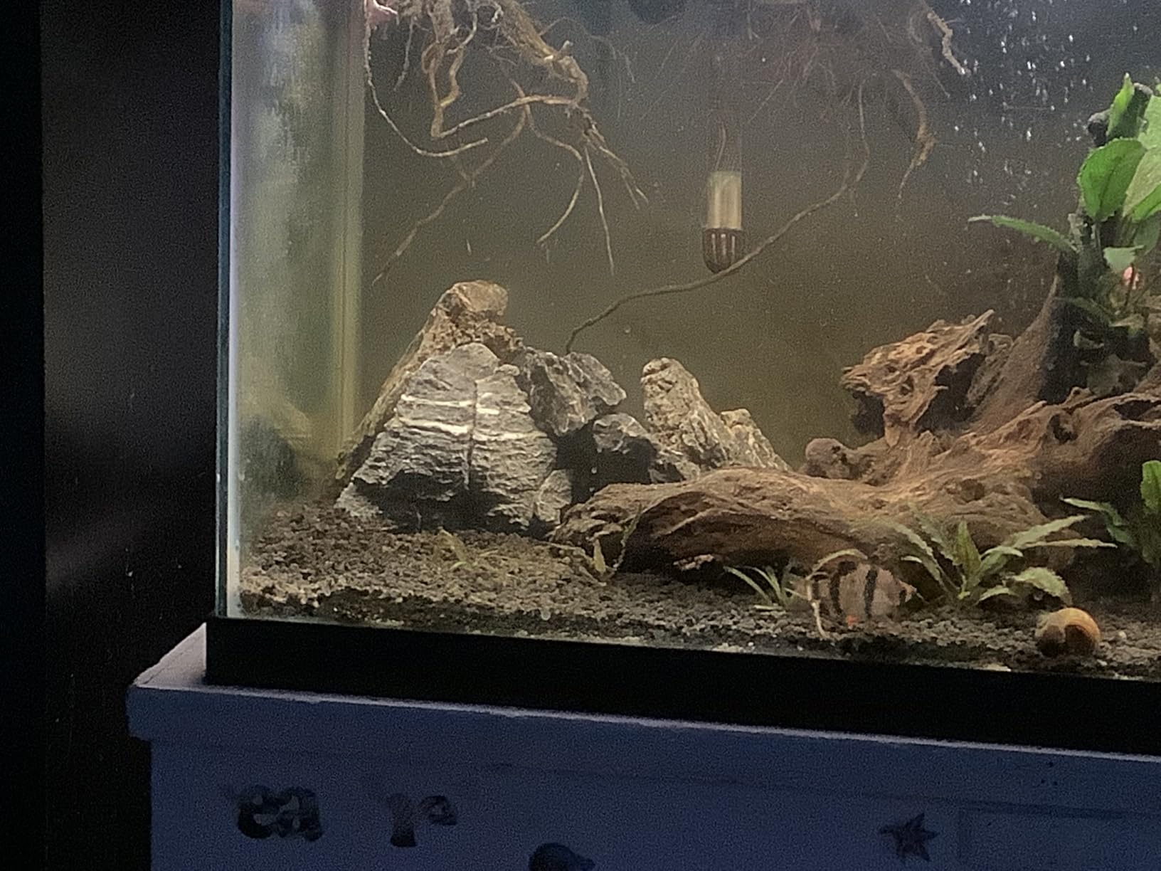 Voulosimi 18 lb Seiryu Rock Stone for Aquariums, Landscaping Model,Tank Decoration customer photo 1