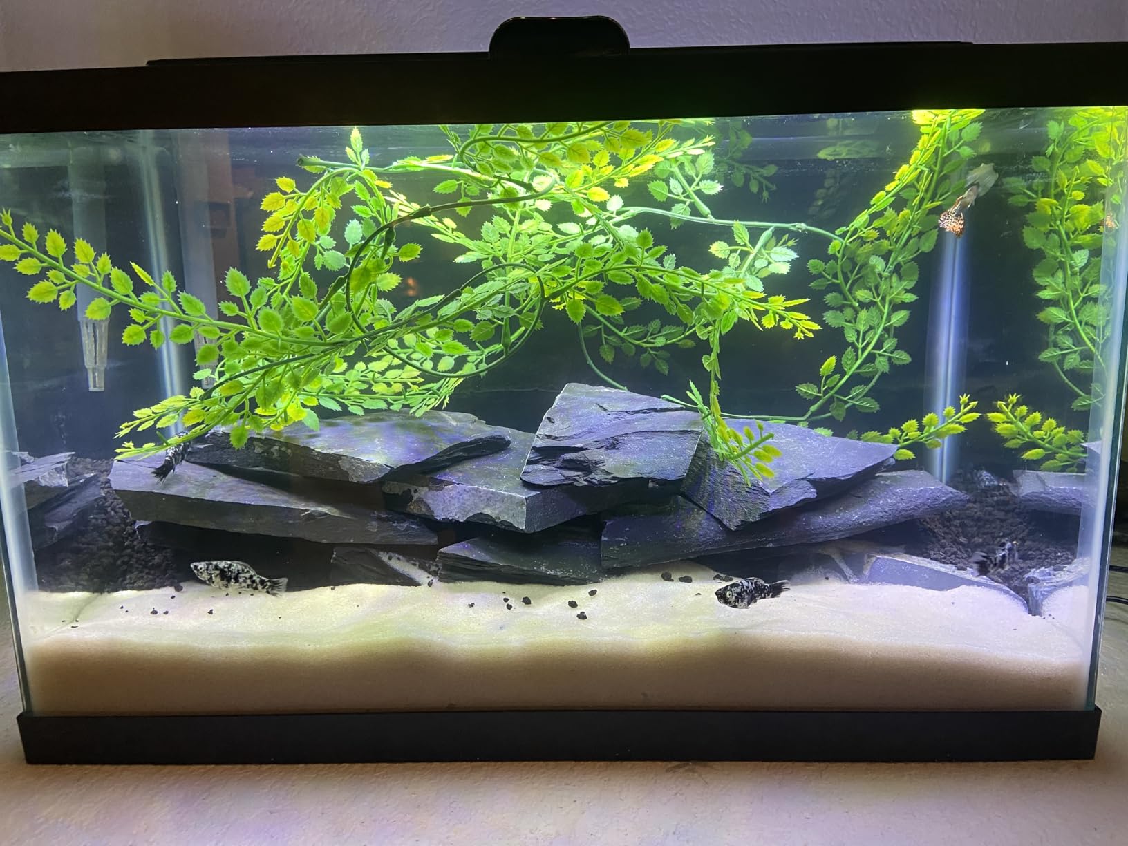 Voulosimi 18 lb Seiryu Rock Stone for Aquariums, Landscaping Model,Tank Decoration customer photo 2