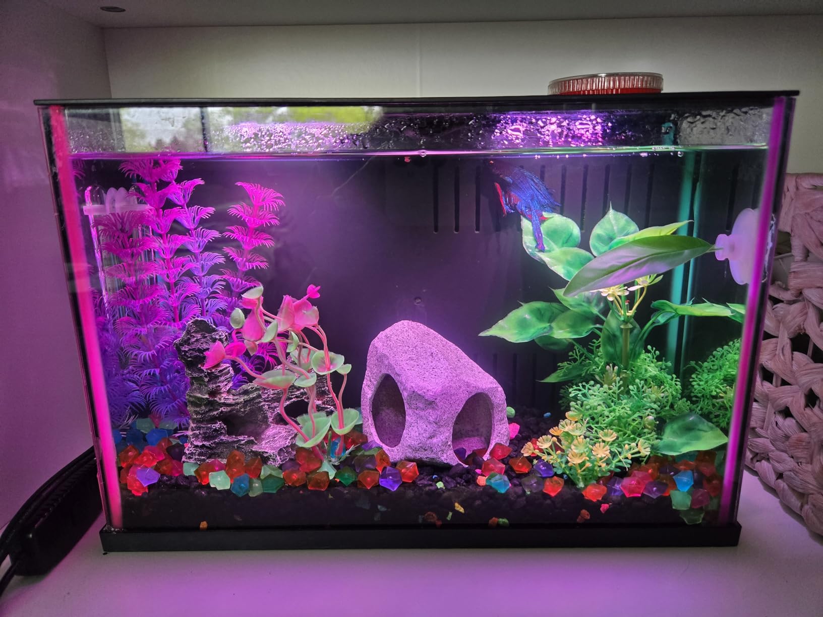 QUOZUO Fish Tank Decor Aquarium Decor, 9pcs Colorful Fish Tank Accessories Artificial Plants and Cave Rock Decor Set, Aquarium Decorations Plastic Plants customer photo 1