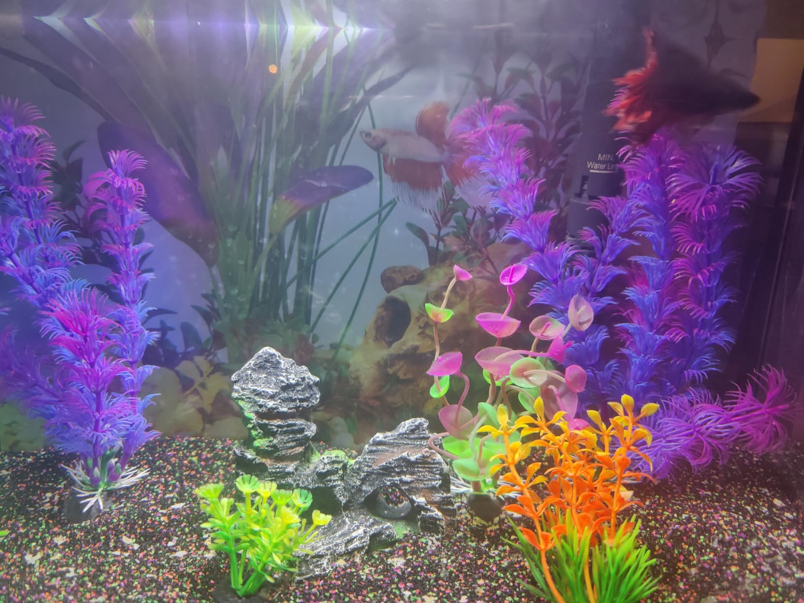 QUOZUO Fish Tank Decor Aquarium Decor, 9pcs Colorful Fish Tank Accessories Artificial Plants and Cave Rock Decor Set, Aquarium Decorations Plastic Plants customer photo 2