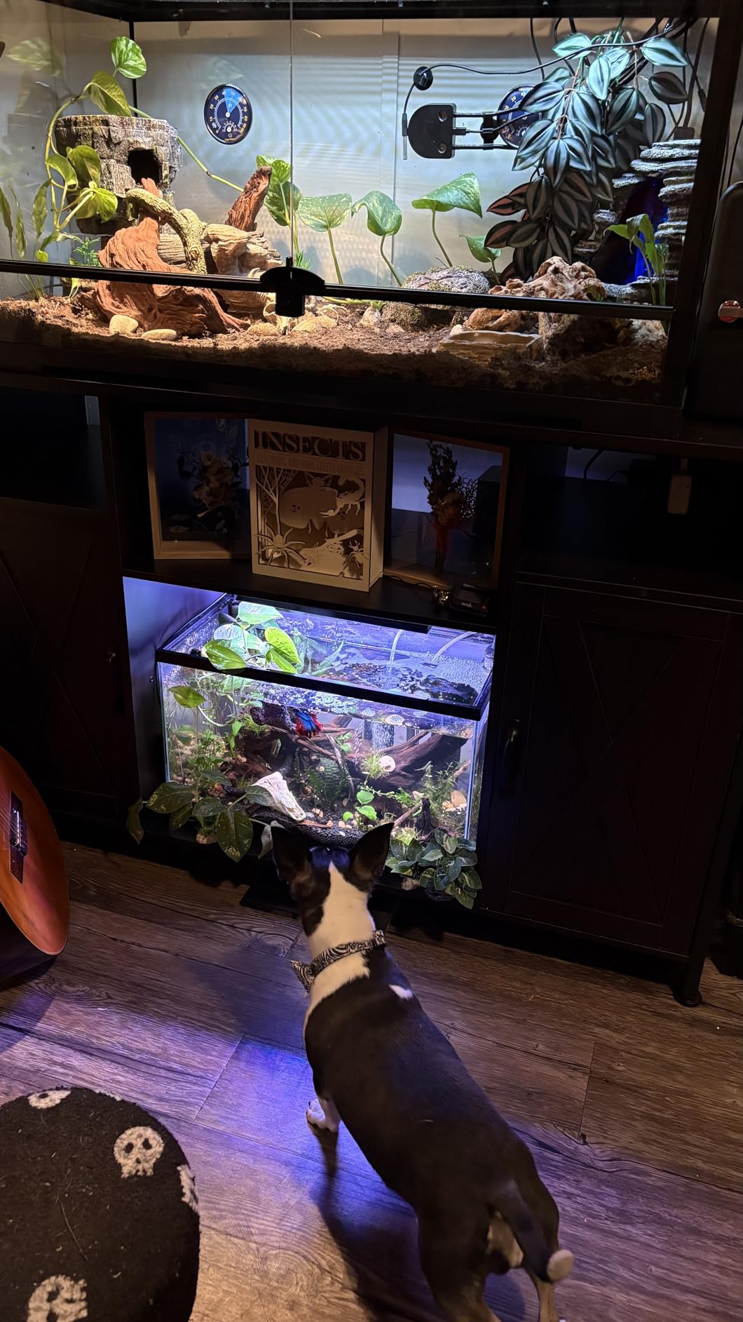 55-90 Gallon Fish Tank Stand with Power Outlets, Aquarium Stand with Cabinet, Heavy Duty Reptile Tank Turtle Terrariums Table for Fish Tank Accessories Storage, 49.2