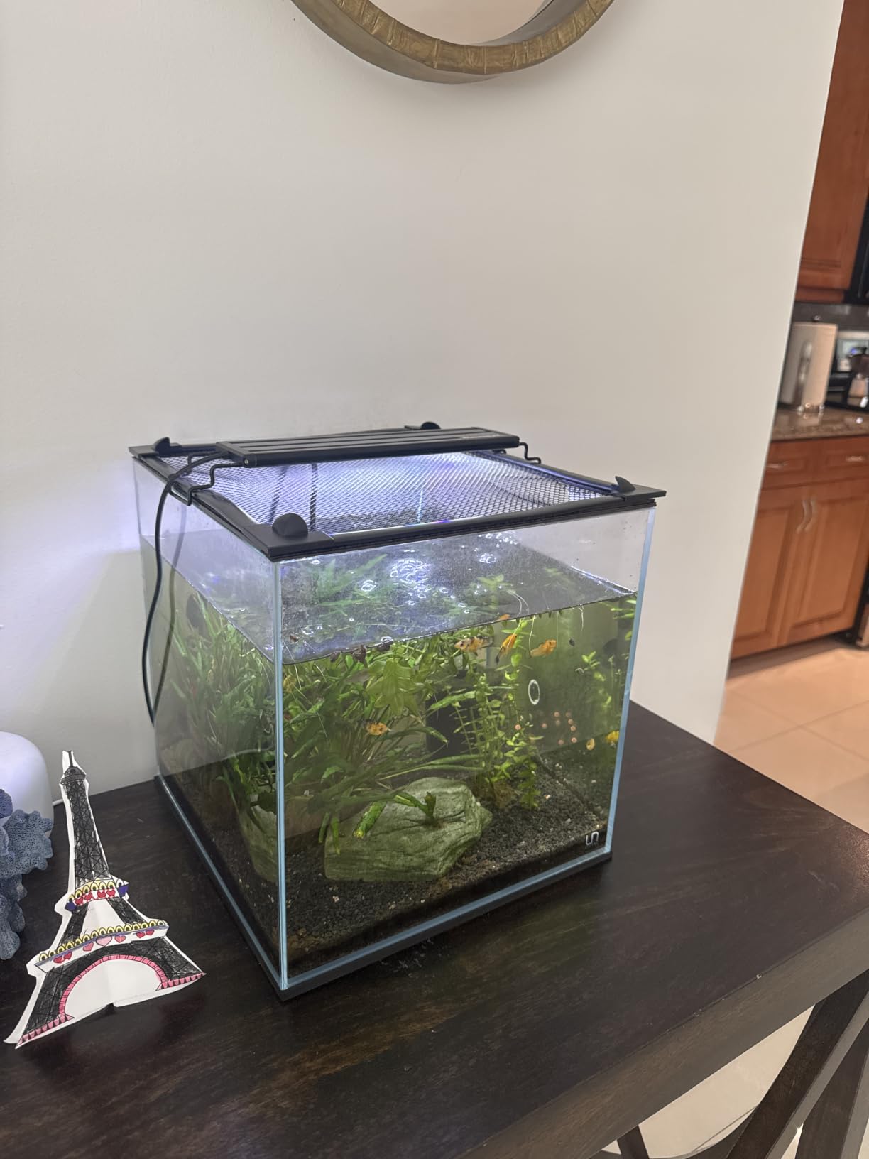 7.5 FT DIY Magnetic Fish Aquarium Anti-Jumping Net Cover, Mesh Screen Netting for Top Cover, Lid Prevents Reptiles from Jumping Out customer photo 1