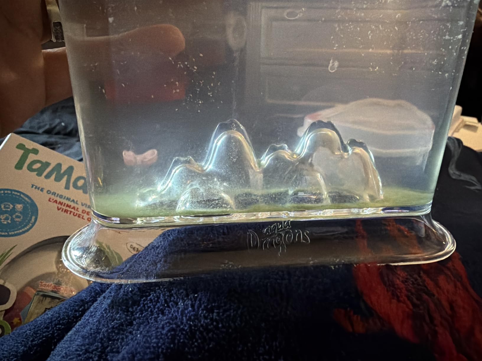 Animagic Aqua Dragons Hatch 'n' Grow Basic Tank | Build an Aquatic Ecosystem, Watch Prehistoric Pets Hatch & Grow Science Kit | Ages 6+ customer photo 2