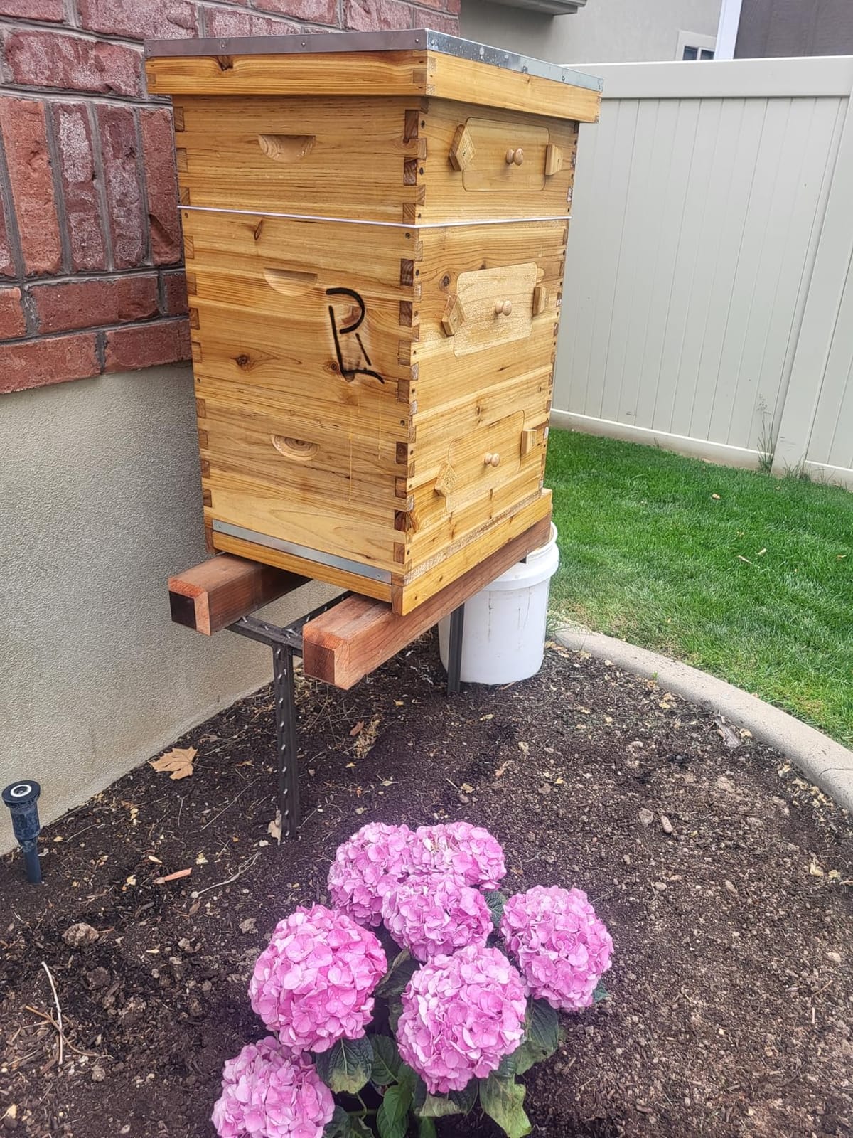 BeeCastle 10-Frame Langstroth Beehive with Windows, Beeswaxed Coated Bee Hive for Beginners with Beehive Frames and Waxed Foundations (2 Deep Bee Boxes & 1 Medium Super Bee Box) customer photo 1