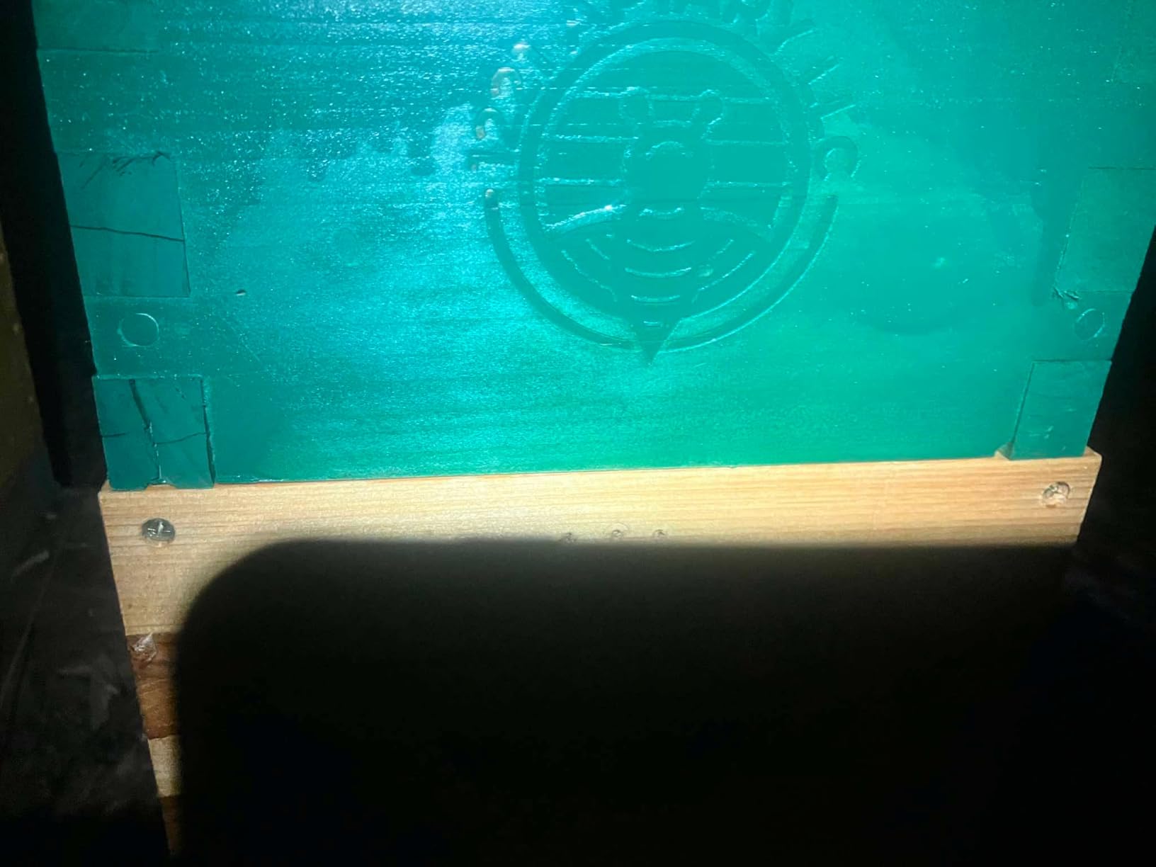 5 Frames NUCS Box customer photo 2