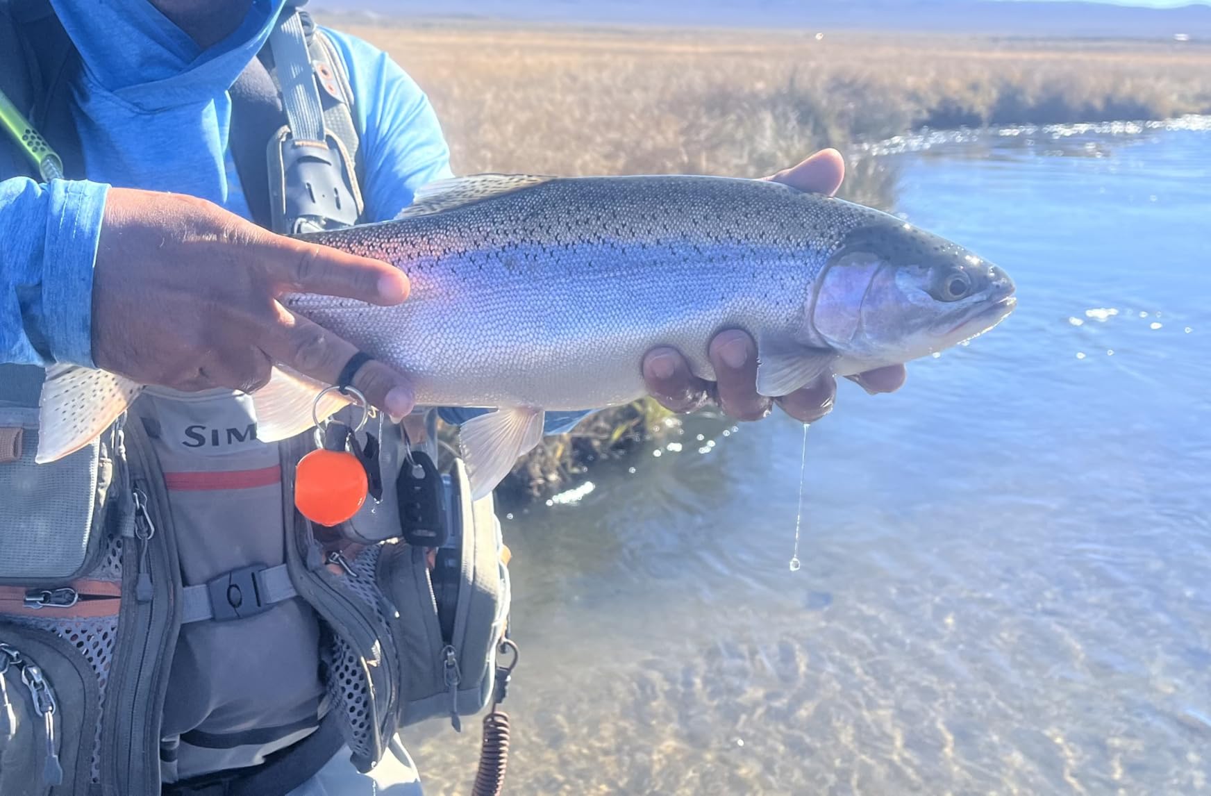 MAVRK USA Fly Fishing Rod | Euro Nymph & Dry Fly Rods | 2 in 1 Convertible Design | Lightweight, Extra Sensitive, Precision Action, Freshwater Trout customer photo 1