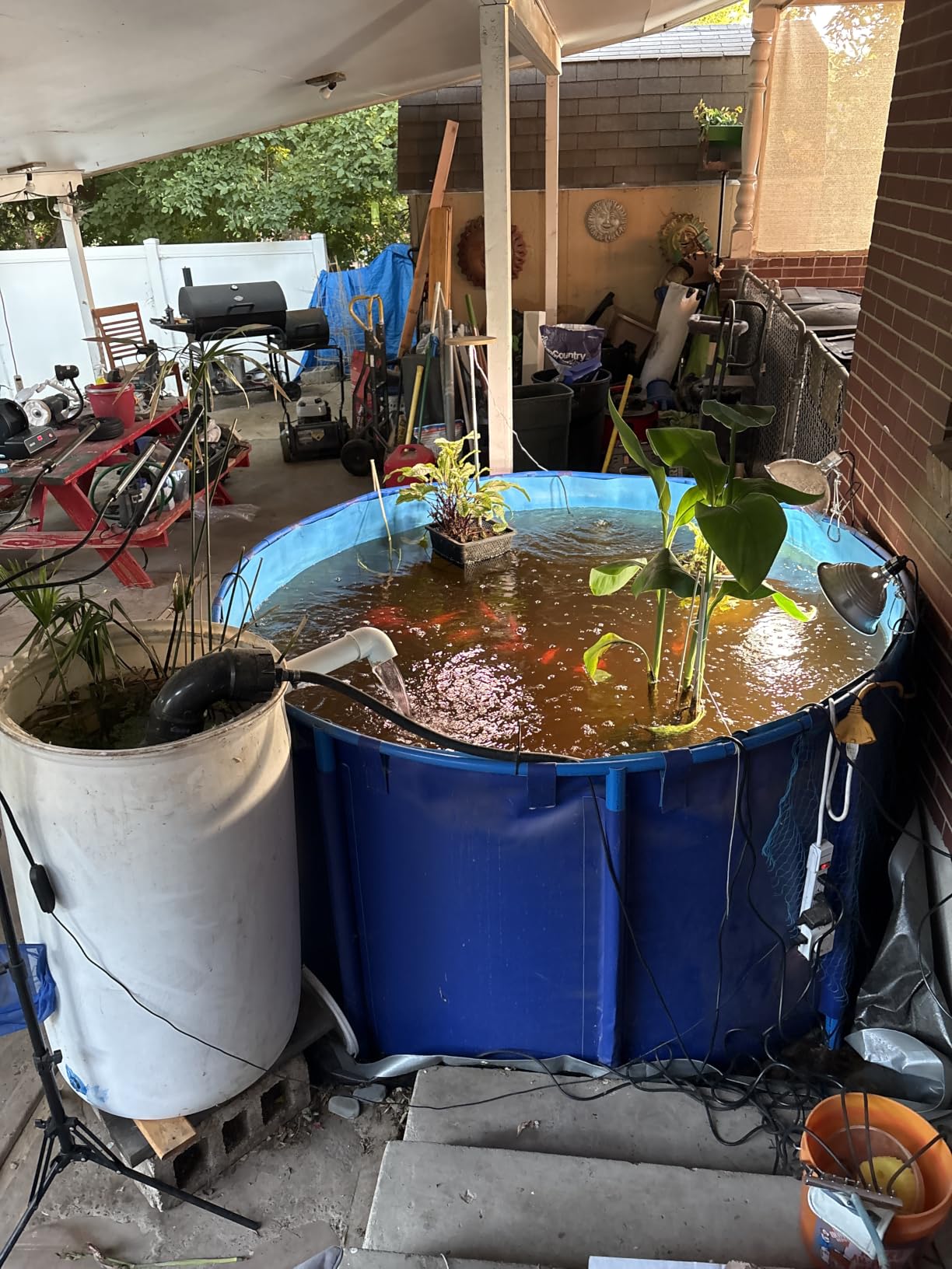 Circular Collapsible Canvas Fish Pool-Large Durable Plastic Pond customer photo 2