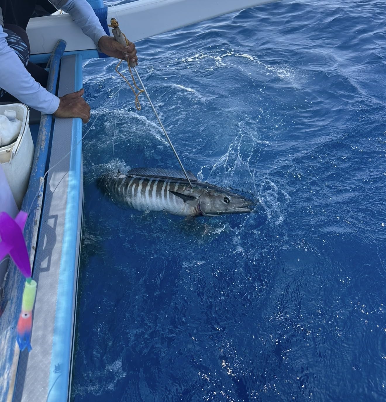 BLUEWING Daisy Chain Trolling Lures Offshore Big Game Fishing Teaser customer photo 1