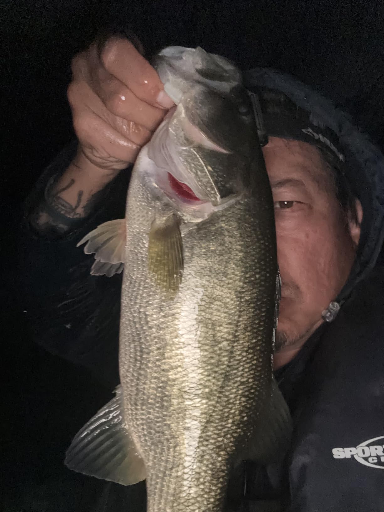 OJY&DOIIIY Swing Weedless Ned Rig Jig Heads, 12 Pack Finesse Mushroom Shaky Jigheads 1/16 3/32 1/8 3/16 1/4oz for Bass Fishing customer photo 1
